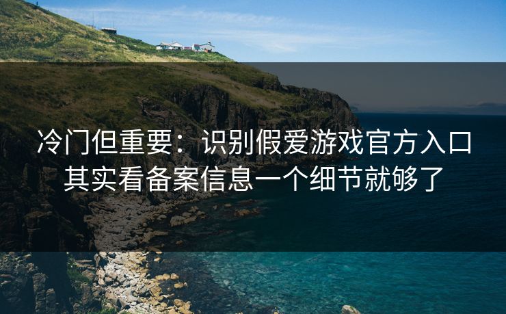 冷门但重要：识别假爱游戏官方入口其实看备案信息一个细节就够了