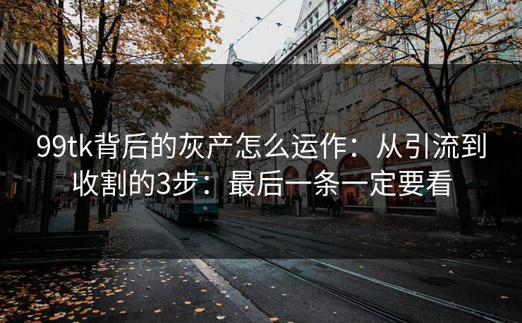 99tk背后的灰产怎么运作：从引流到收割的3步：最后一条一定要看